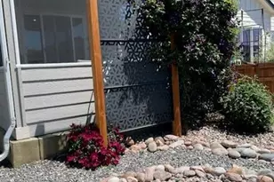 265 Hillspire Dr, Windsor, CO 80550 - Photo 31