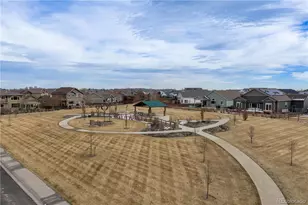 265 Hillspire Dr, Windsor, CO 80550 - Photo 41