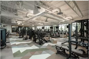 6494 Silver Mesa Dr, Highlands Ranch, CO 80130 - Photo 27