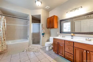 6494 Silver Mesa Dr, Highlands Ranch, CO 80130 - Photo 17