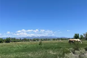 988 P St, Penrose, CO 81240 - Photo 35