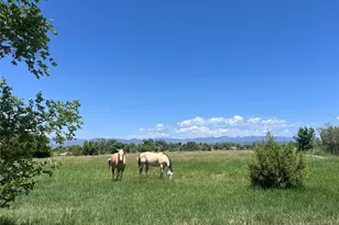 988 P St, Penrose, CO 81240 - Photo 37