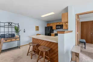 89310 Ryan Gulch Rd, Silverthorne, CO 80498 - Photo 9