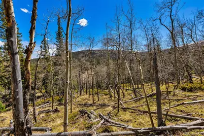 270 Co Rd 667, Fairplay, CO 80440 - Photo 33