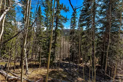 270 Co Rd 667, Fairplay, CO 80440 - Photo 37