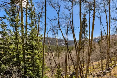 270 Co Rd 667, Fairplay, CO 80440 - Photo 49