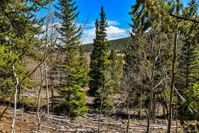 270 Co Rd 667, Fairplay, CO 80440 - Photo 43