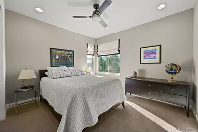 493 Meadowleaf Lane, Highlands Ranch, CO 80126 - Photo 27