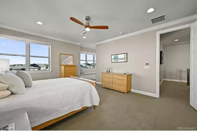 493 Meadowleaf Lane, Highlands Ranch, CO 80126 - Photo 19