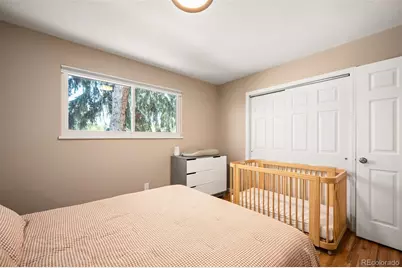 175 Pike Street, Golden, CO 80401 - Photo 15