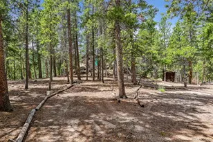 306 Olde Carter Lake Rd, Golden, CO 80403 - Photo 3