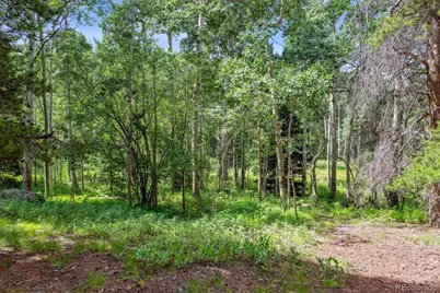 306 Olde Carter Lake Road, Golden, CO 80403 - Photo 15