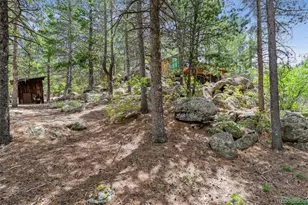 306 Olde Carter Lake Rd, Golden, CO 80403 - Photo 13