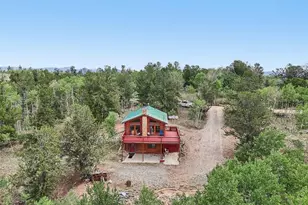 215 Gadwall Rd, Como, CO 80432 - Photo 3