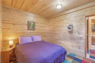 215 Gadwall Rd, Como, CO 80432 - Photo 25