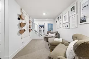 10110 E 63rd Dr, Denver, CO 80238 - Photo 29