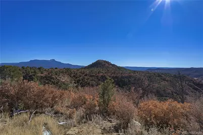14633 Rancho Verde Road, Trinidad, CO 81082 - Photo 3