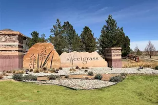 3490 Raintree Ln, Dacono, CO 80514 - Photo 49