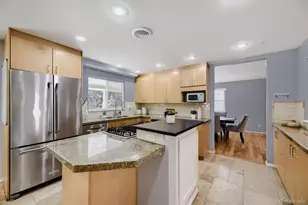 3141 S Jasmine Way, Denver, CO 80222 - Photo 9