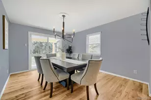 3141 S Jasmine Way, Denver, CO 80222 - Photo 7