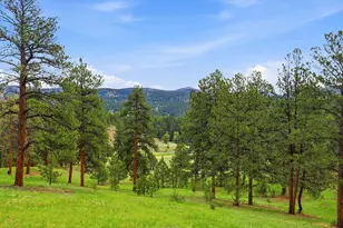 13532 Douglass Ranch Dr, Pine, CO 80470 - Photo 35