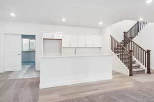 1645 Green Fern Pt, Castle Rock, CO 80104 - Photo 25