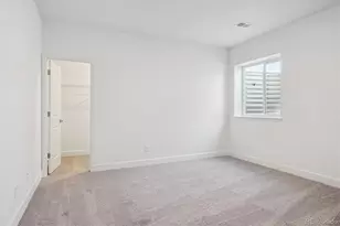 1645 Green Fern Pt, Castle Rock, CO 80104 - Photo 33