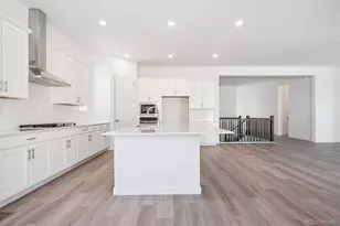 1645 Green Fern Pt, Castle Rock, CO 80104 - Photo 5