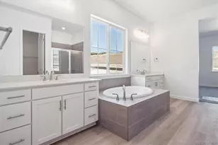 1645 Green Fern Pt, Castle Rock, CO 80104 - Photo 21