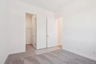 1645 Green Fern Pt, Castle Rock, CO 80104 - Photo 15