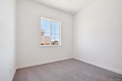 1645 Green Fern Point, Castle Rock, CO 80104 - Photo 13