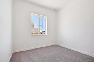 1645 Green Fern Pt, Castle Rock, CO 80104 - Photo 13