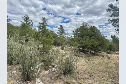 30110 Princeton Hills, Buena Vista, CO 81211 - Photo 5