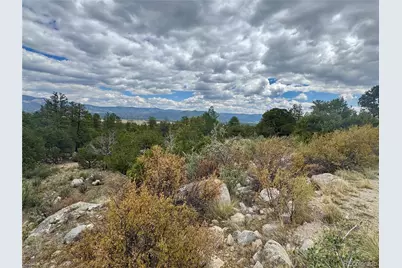 30110 Princeton Hills, Buena Vista, CO 81211 - Photo 11