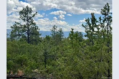 30110 Princeton Hills, Buena Vista, CO 81211 - Photo 7