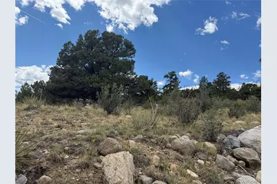 30110 Princeton Hills, Buena Vista, CO 81211 - Photo 9