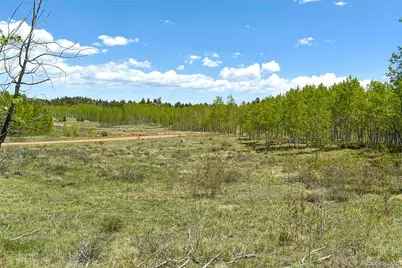 130 Rock Drive, Lake George, CO 80827 - Photo 9