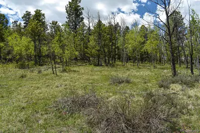 130 Rock Drive, Lake George, CO 80827 - Photo 11