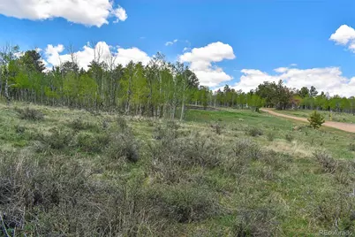 130 Rock Drive, Lake George, CO 80827 - Photo 3