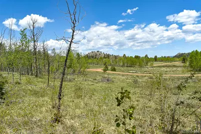 130 Rock Drive, Lake George, CO 80827 - Photo 7