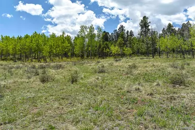 130 Rock Drive, Lake George, CO 80827 - Photo 13