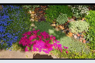 11892 Elk Head Range Road, Littleton, CO 80127 - Photo 29
