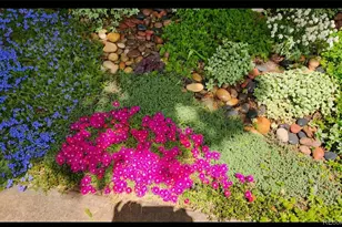 11892 Elk Head Range Rd, Littleton, CO 80127 - Photo 29