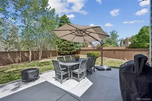 335 Wessex Cir, Highlands Ranch, CO 80126 - Photo 43