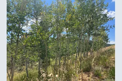 795 Russell Gulch Road, Central City, CO 80427 - Photo 3