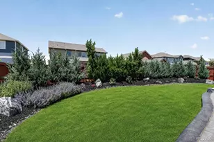 1674 Flourish Dr, Windsor, CO 80550 - Photo 31