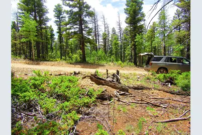 Lot 6082 Stella Road Road, San Luis, CO 81152 - Photo 9