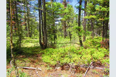 Lot 6082 Stella Road Road, San Luis, CO 81152 - Photo 5