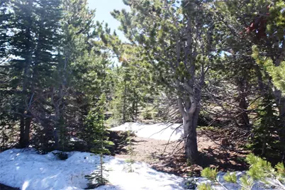 19420 Kingston Peak Road, Black Hawk, CO 80422 - Photo 41