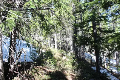 19420 Kingston Peak Road, Black Hawk, CO 80422 - Photo 27